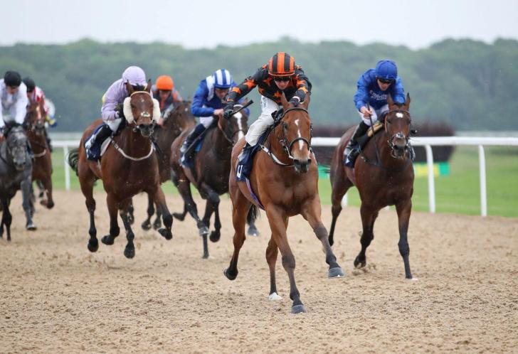 Horse racing at Newcastle